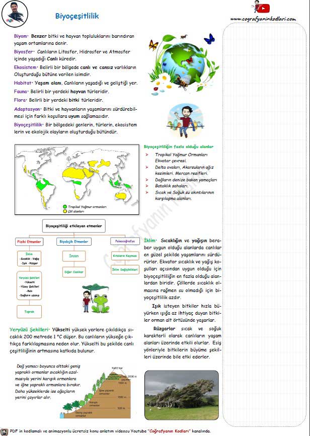 Biyoçeşitlilik Konu Anlatım PDF