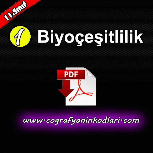 Biyoçeşitlilik Konu Anlatım PDF